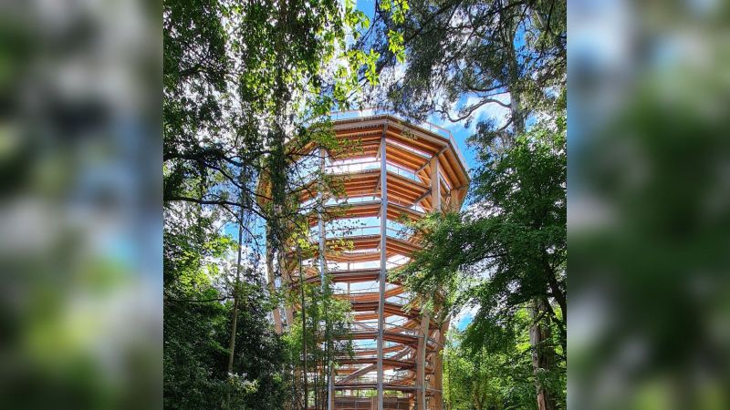 imresizer-avondale-beyond-the-trees9